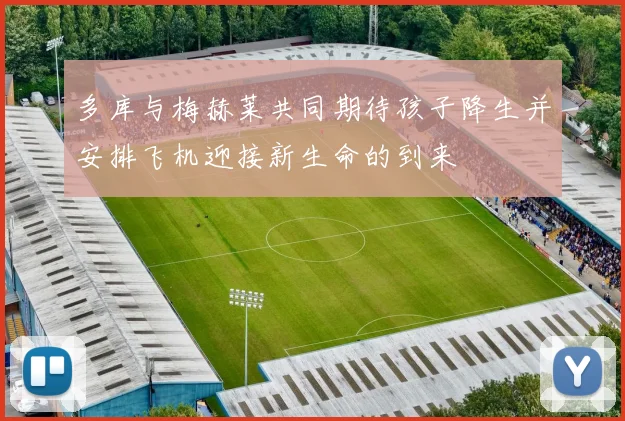多库与梅赫莱共同期待孩子降生并安排飞机迎接新生命的到来